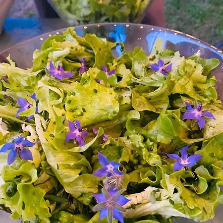 Domaine De Seguela Nocleg ze śniadaniem