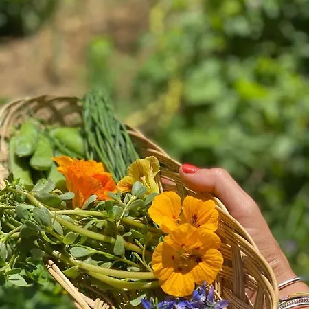 Domaine De Seguela Nocleg ze śniadaniem