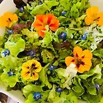Domaine De Seguela Bed & Breakfast