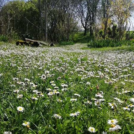 Domaine De Seguela 3* Fargues (Lot)