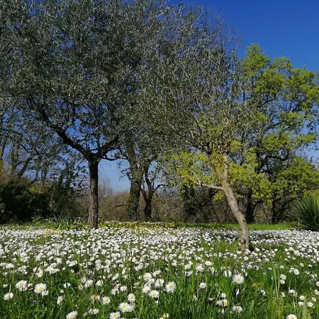 Domaine De Seguela 3* Fargues (Lot)