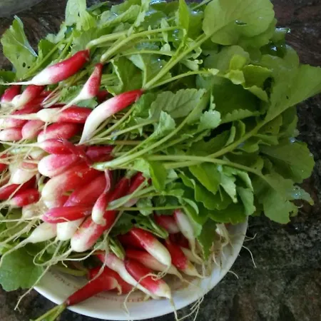 Domaine De Seguela 3*