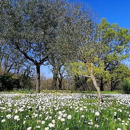 Domaine De Seguela Bed & Breakfast 3*