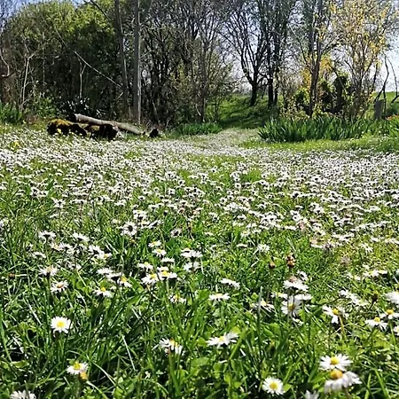 Domaine De Seguela 3* Fargues (Lot)