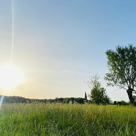 Domaine De Seguela فندق مبيت وإفطار Fargues (Lot)