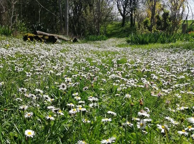 Domaine De Séguéla 3* Fargues (Lot)