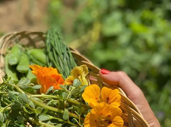 Domaine De Séguéla Bed & Breakfast